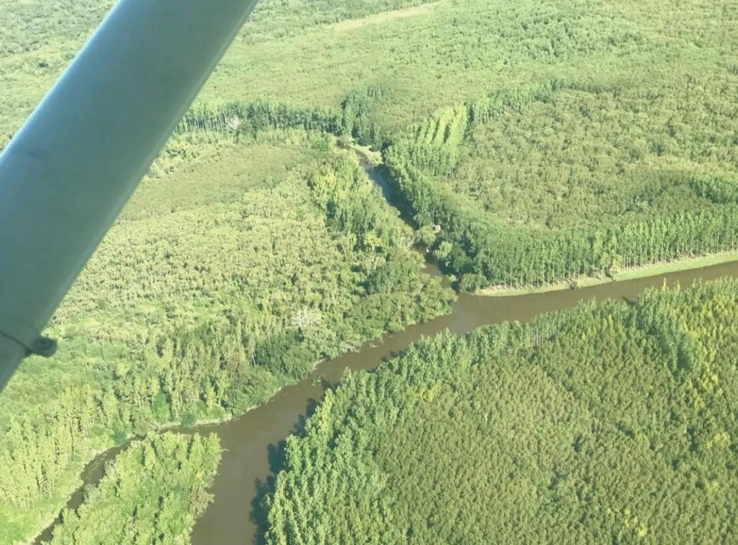 VENTA CAMPO DE APROX.24 HECTÁREAS ISLAS DEL PARANA 2