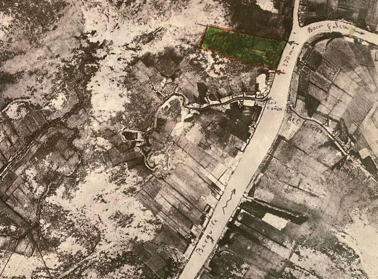 VENTA CAMPO DE APROX.24 HECTÁREAS ISLAS DEL PARANA 4