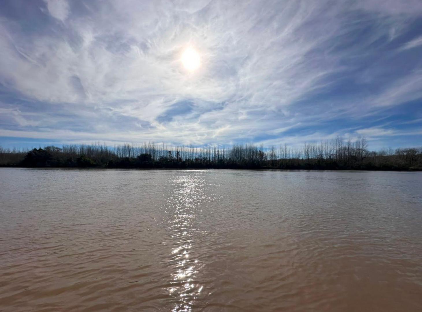 Foto de VENTA CAMPO DE APROX.24 HECTÁREAS ISLAS DEL PARANA, imagen 3