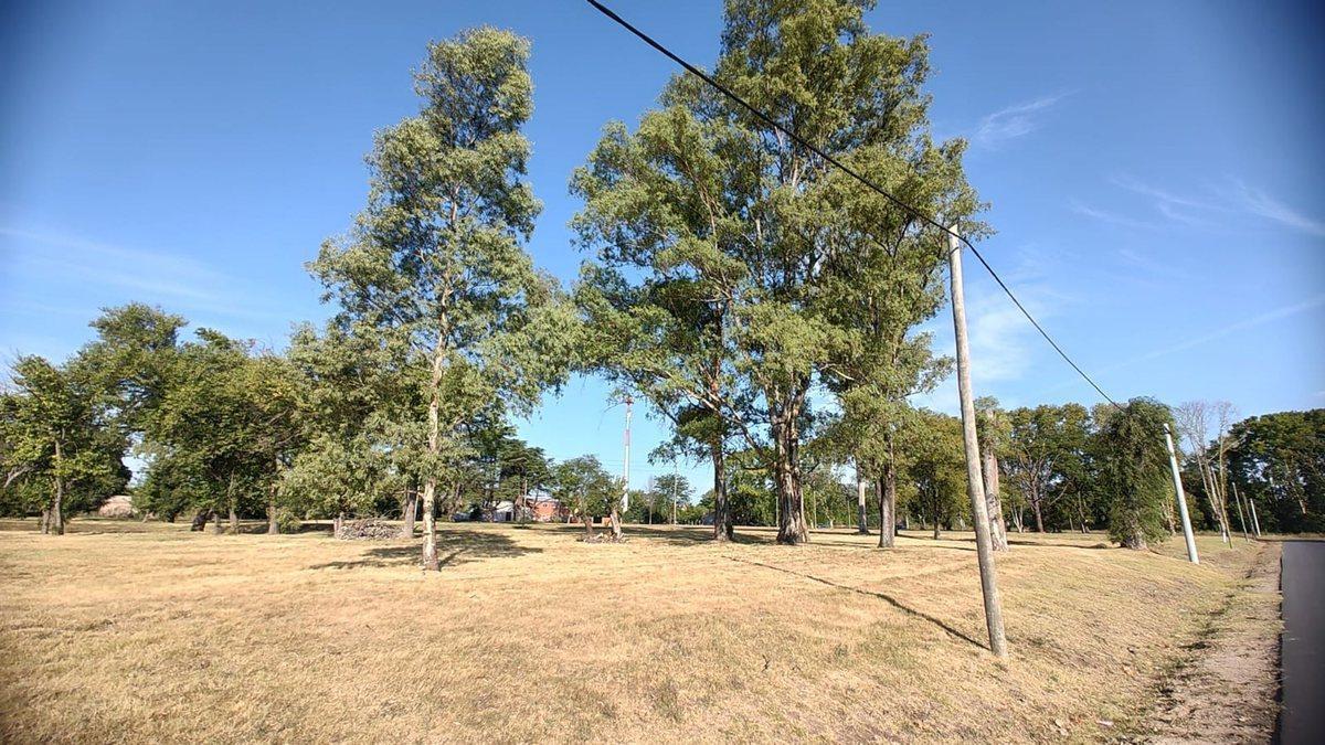 Foto de VENTA TERRENO EN BARRIO PARQUE LAS CLEMENCIAS, imagen 1