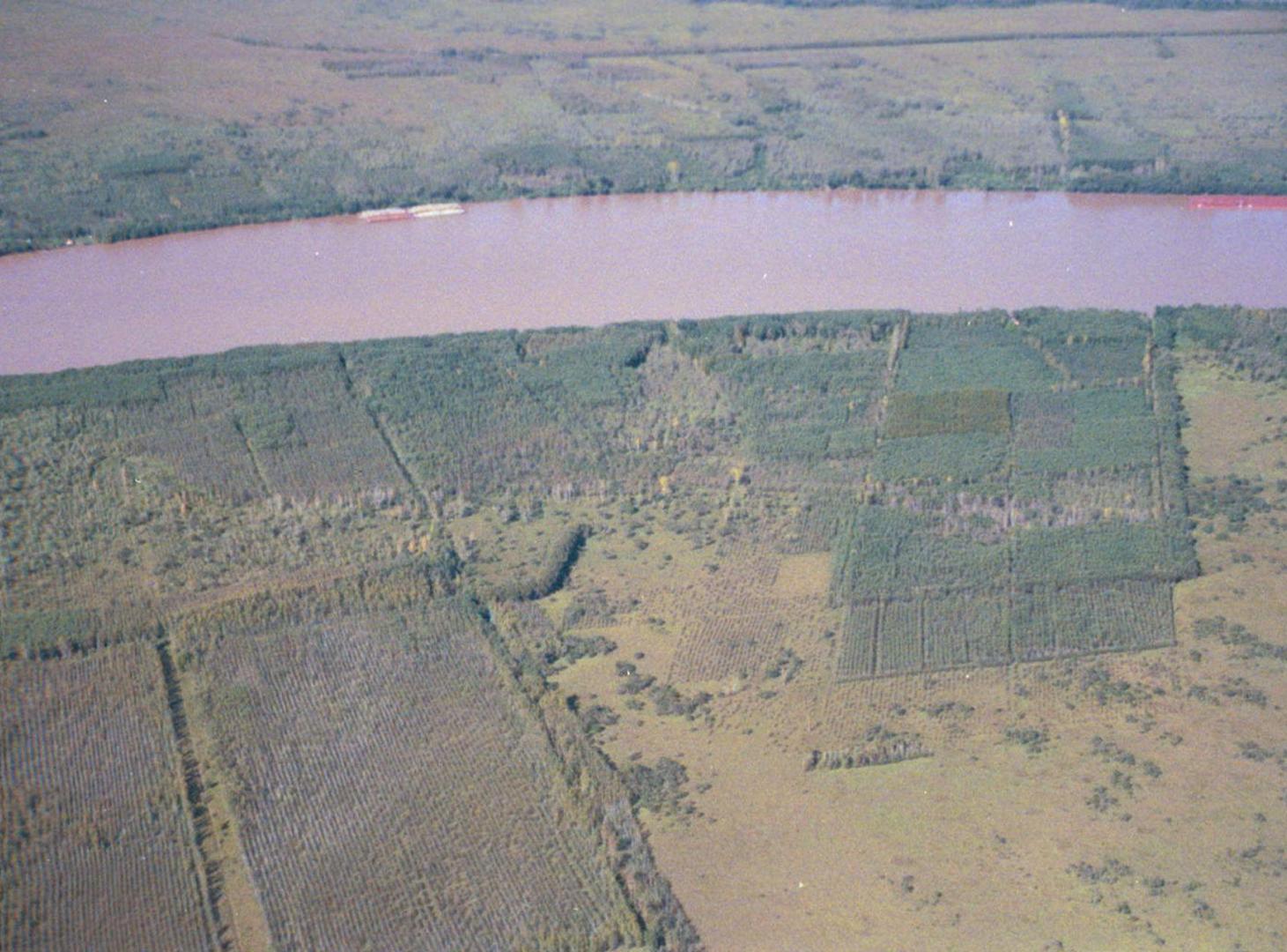 Foto de VENTA CAMPO 125 HA RÍO SAUCE 1.300 m. DE COSTA, imagen 1