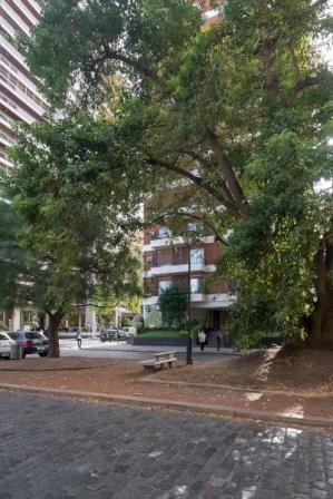 Alto-Torre c/vig-3 ambientes+ dep.serv. -Todo externo-Vista verde- COCHERA   2