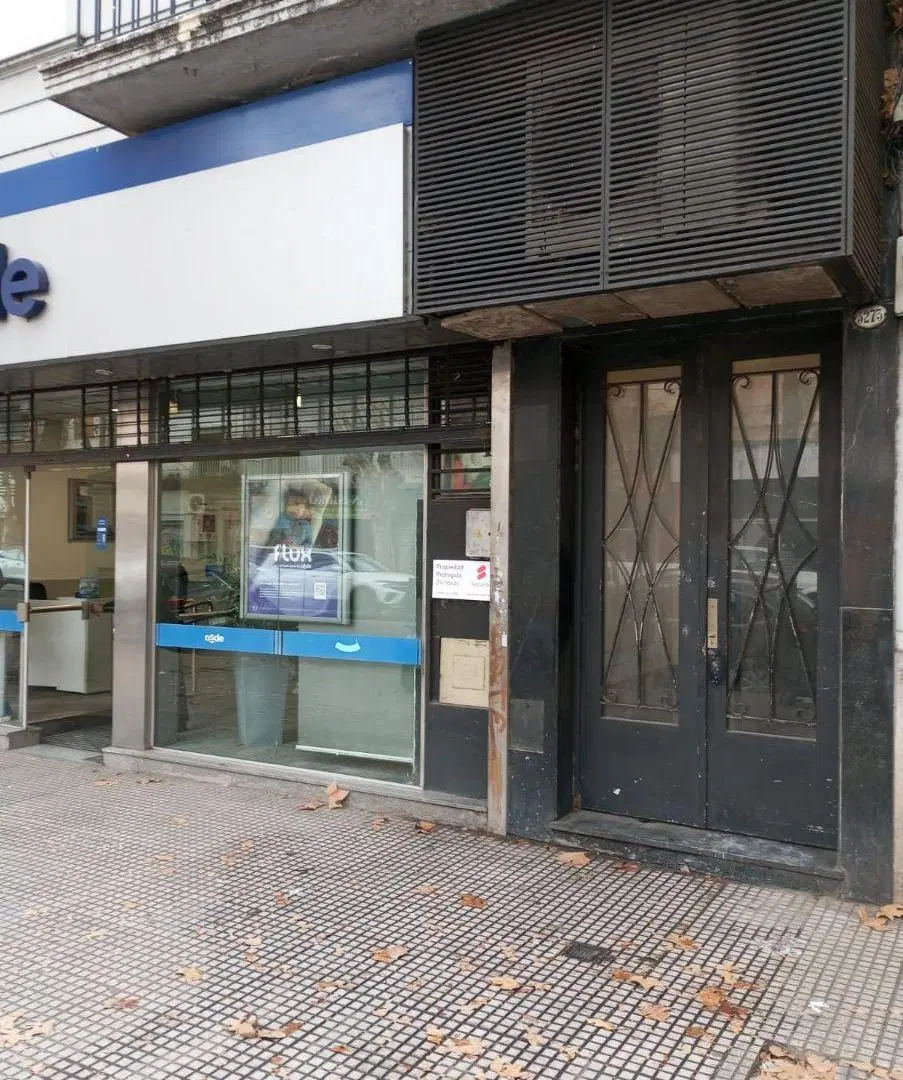ALQUILER DEPTO 3 AMBIENTES PRIMER PISO POR ESCLAERA SIN EXPENSAS 8