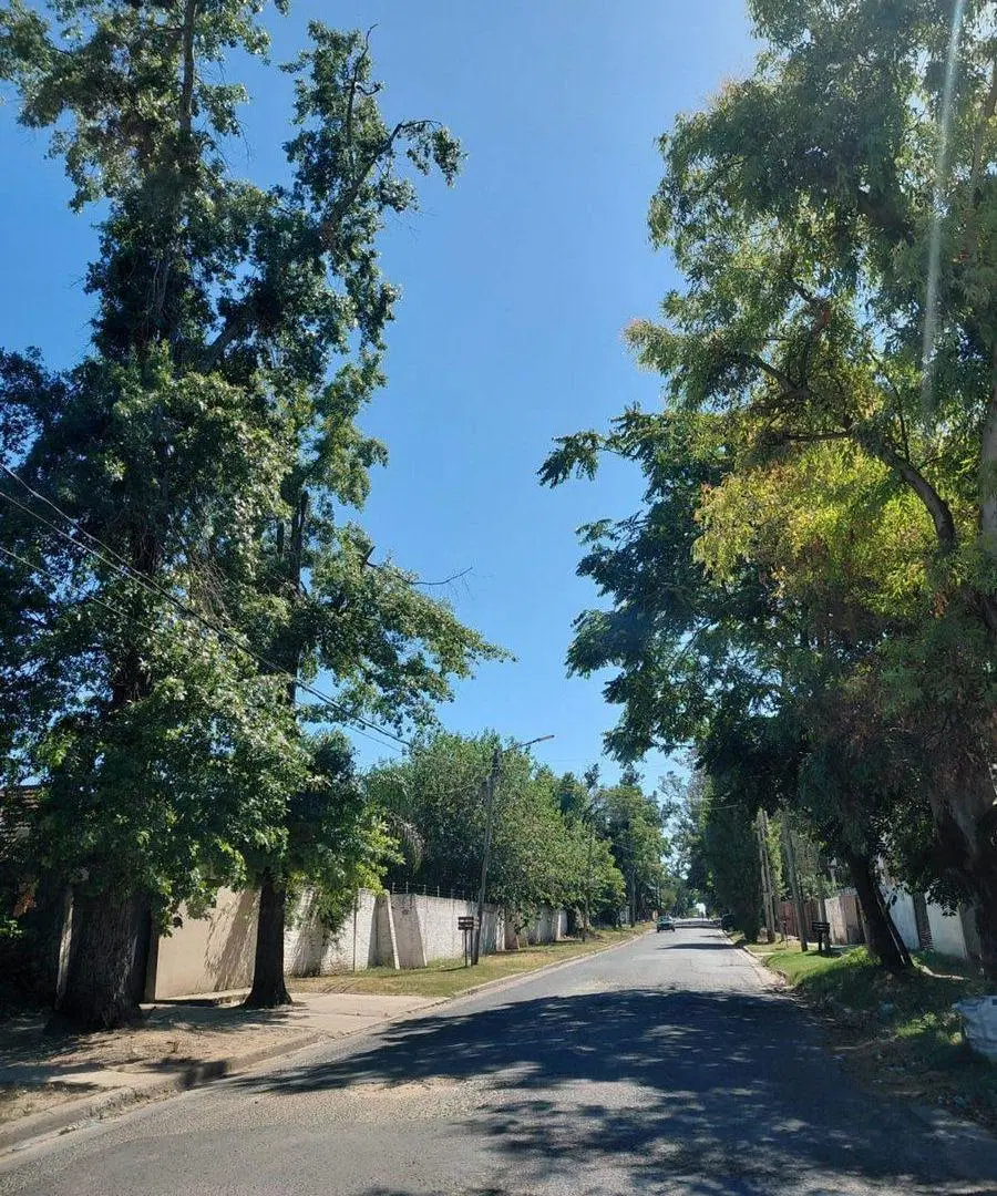 CASA 3 AMBIENTES  MORENO EN AMPLIO LOTE 2