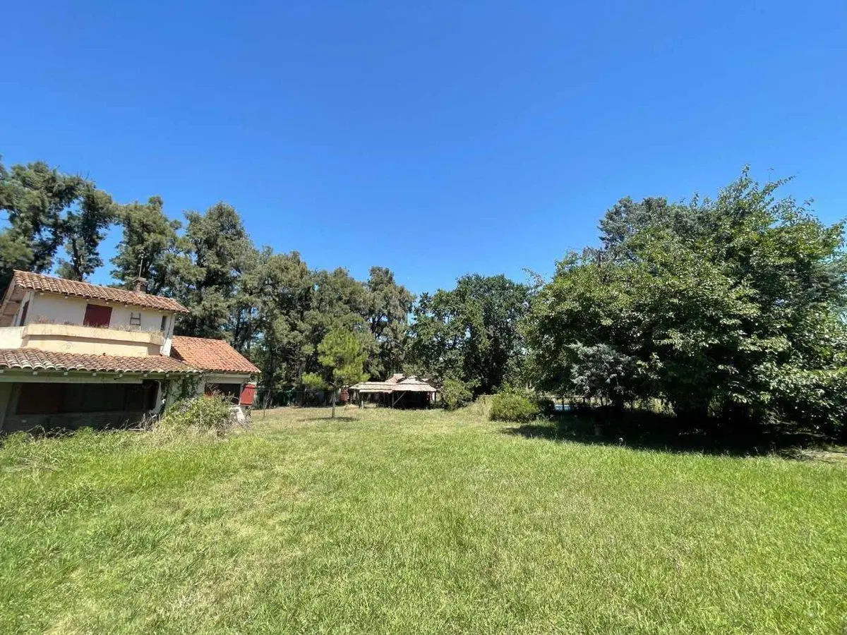 VENTA LOTE 3000 MTS EN PASO DEL REY MORENO 4