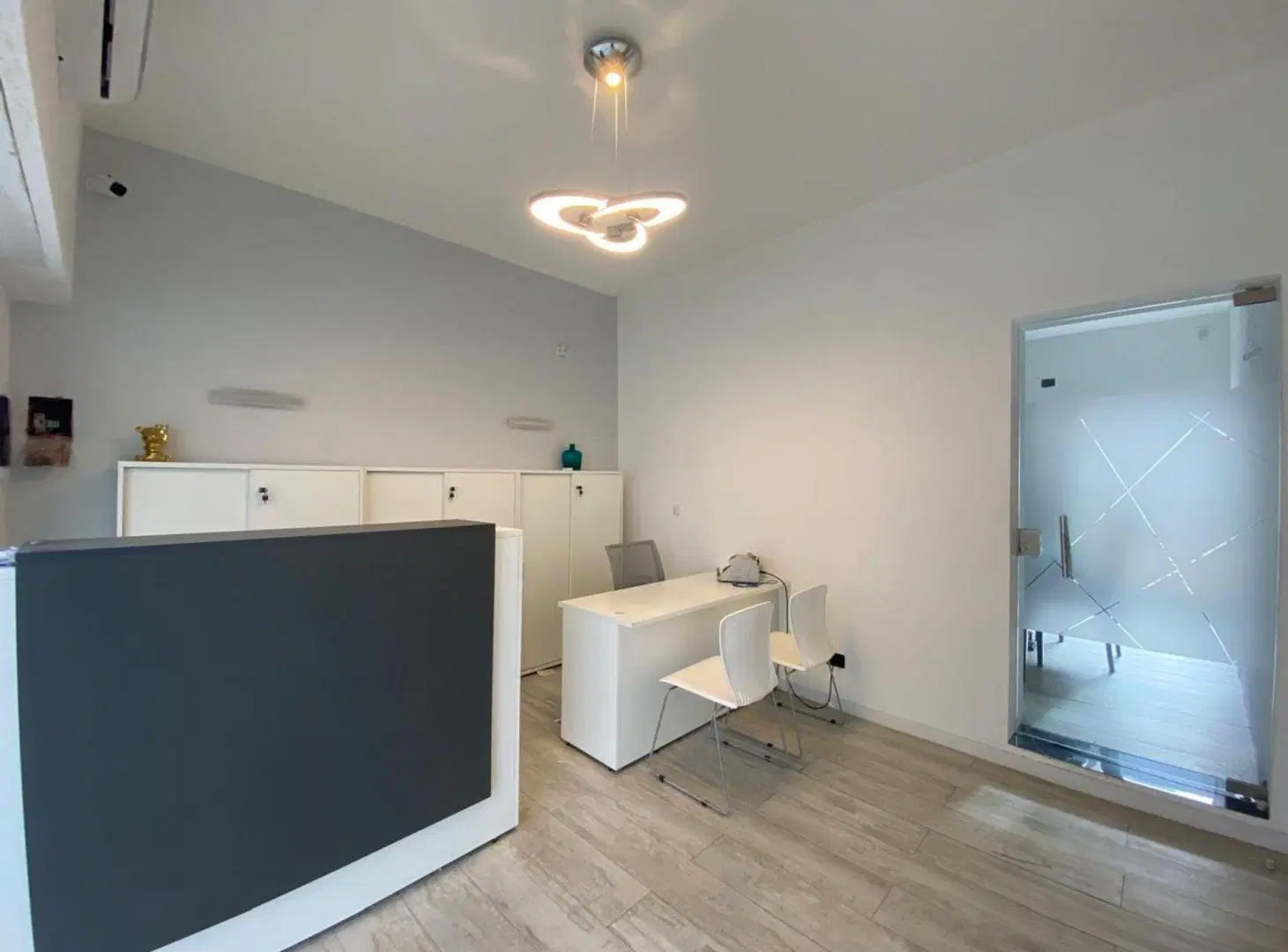 VENTA LOCAL EN LUGANO 3
