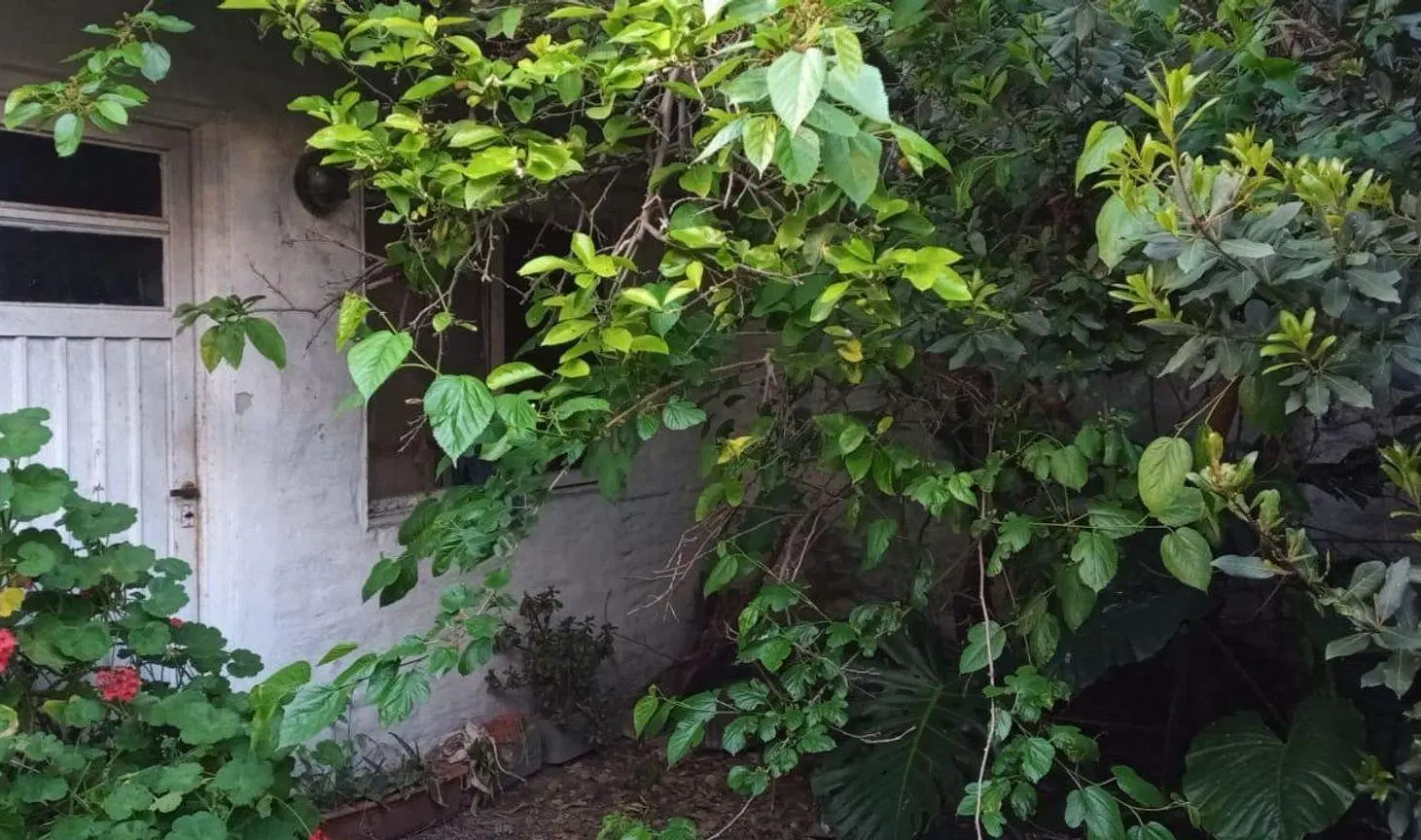 VENTA PH 3 AMBIETES LANUS FONDO PATIO PARRILLA 5