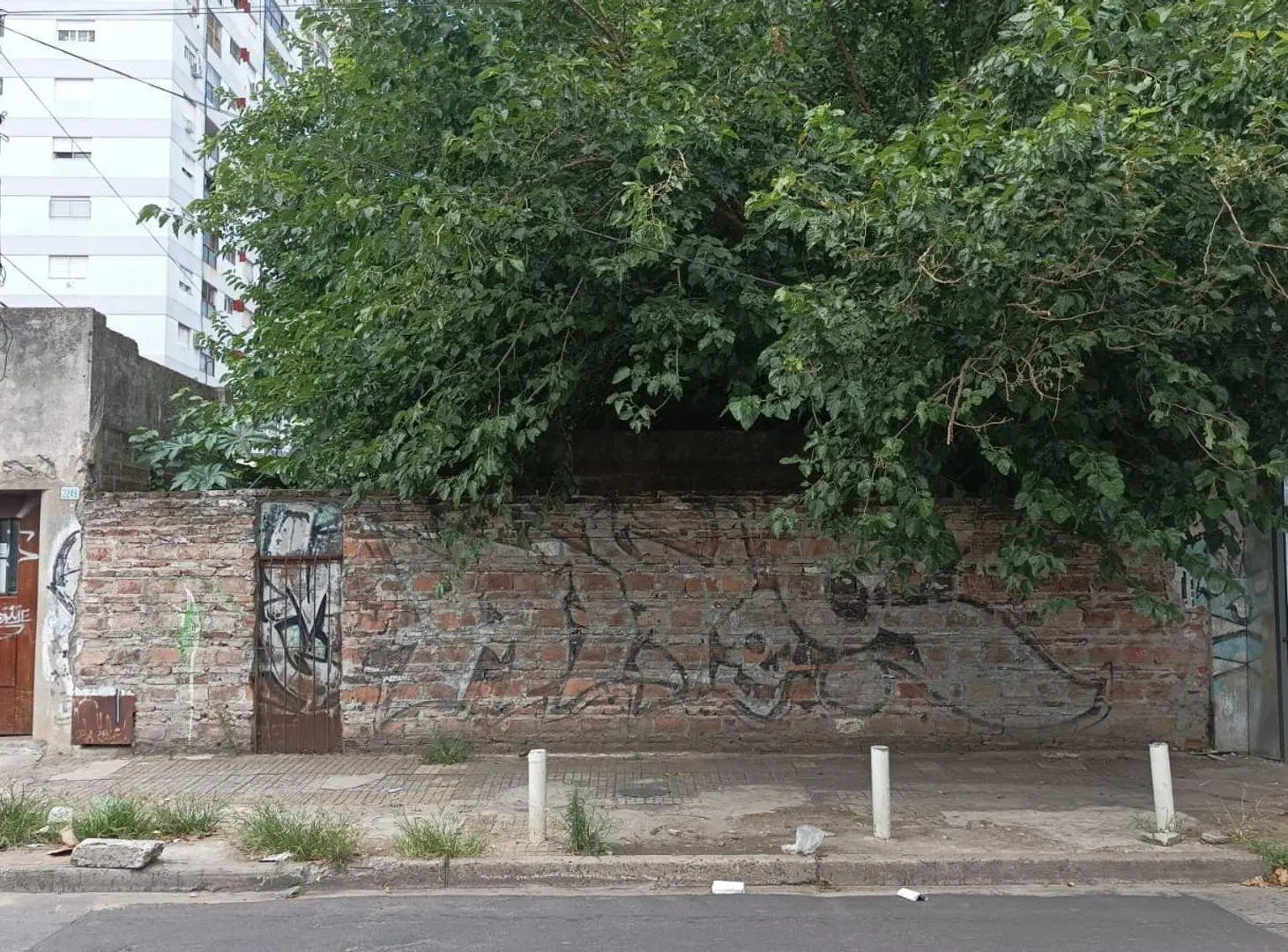 VENTA DE 3 LOTES BLOQUE O SEPARADOS EN SAN MARTIN 3