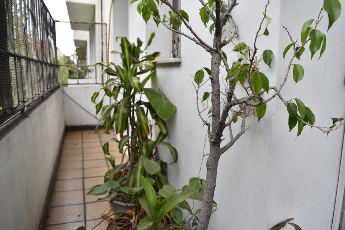 Foto de Venta Departamento Palermo 4 amb con dependencias, imagen 1