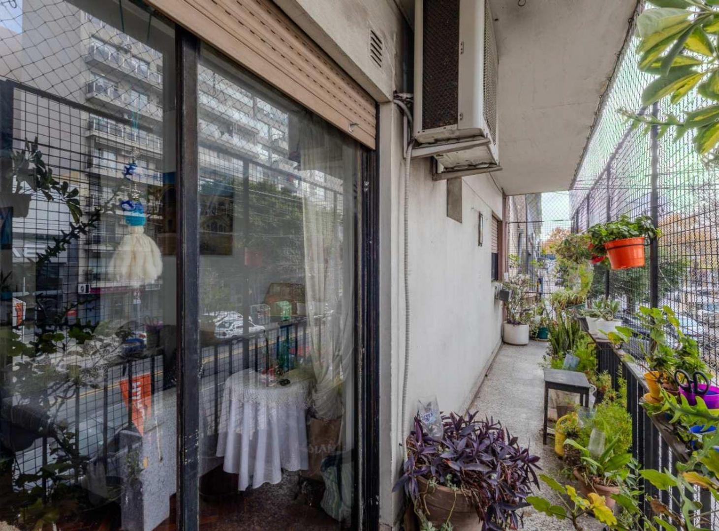 Foto de VENTA DEPARTAMENTO 3 AMBIENTES PARQUE CHAS, imagen 4