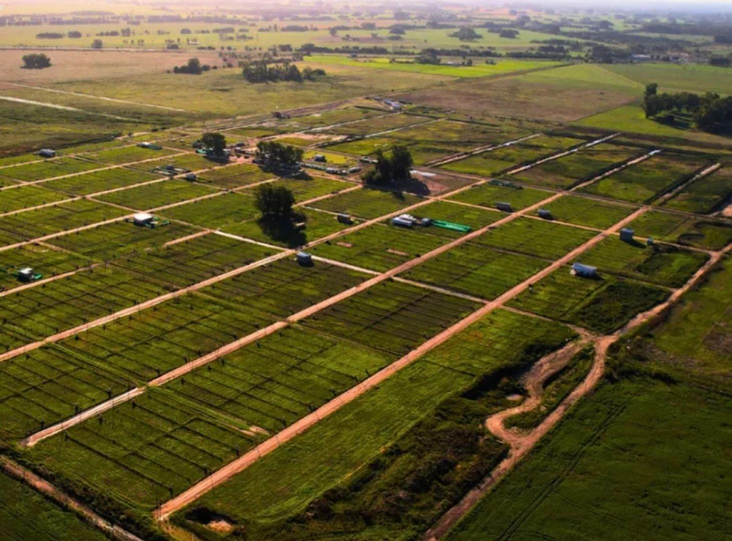 Foto de LOTE EN VENTA LA RESERVA DEL OESTE ETAPA 2, imagen 2