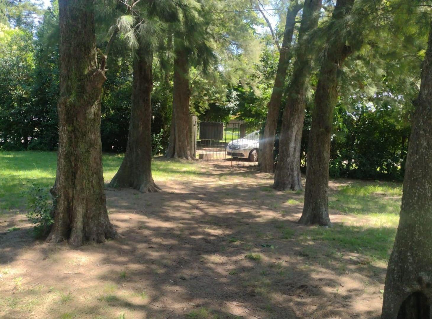 Foto de Venta terreno amplio con mejoras Luis Guillón, imagen 1