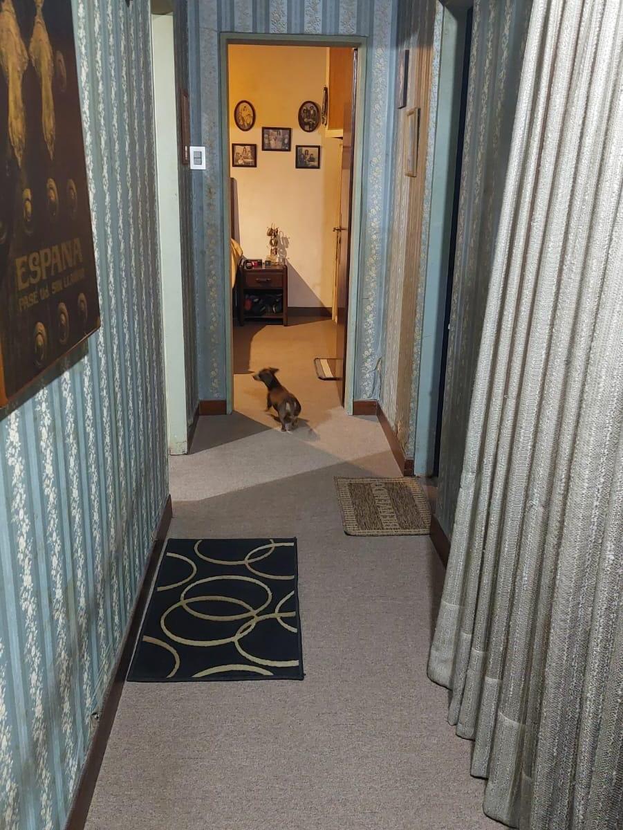 Foto de Casa en venta condicionada, 4 ambientes, Villa Udaondo, Haras Miryam., imagen 3