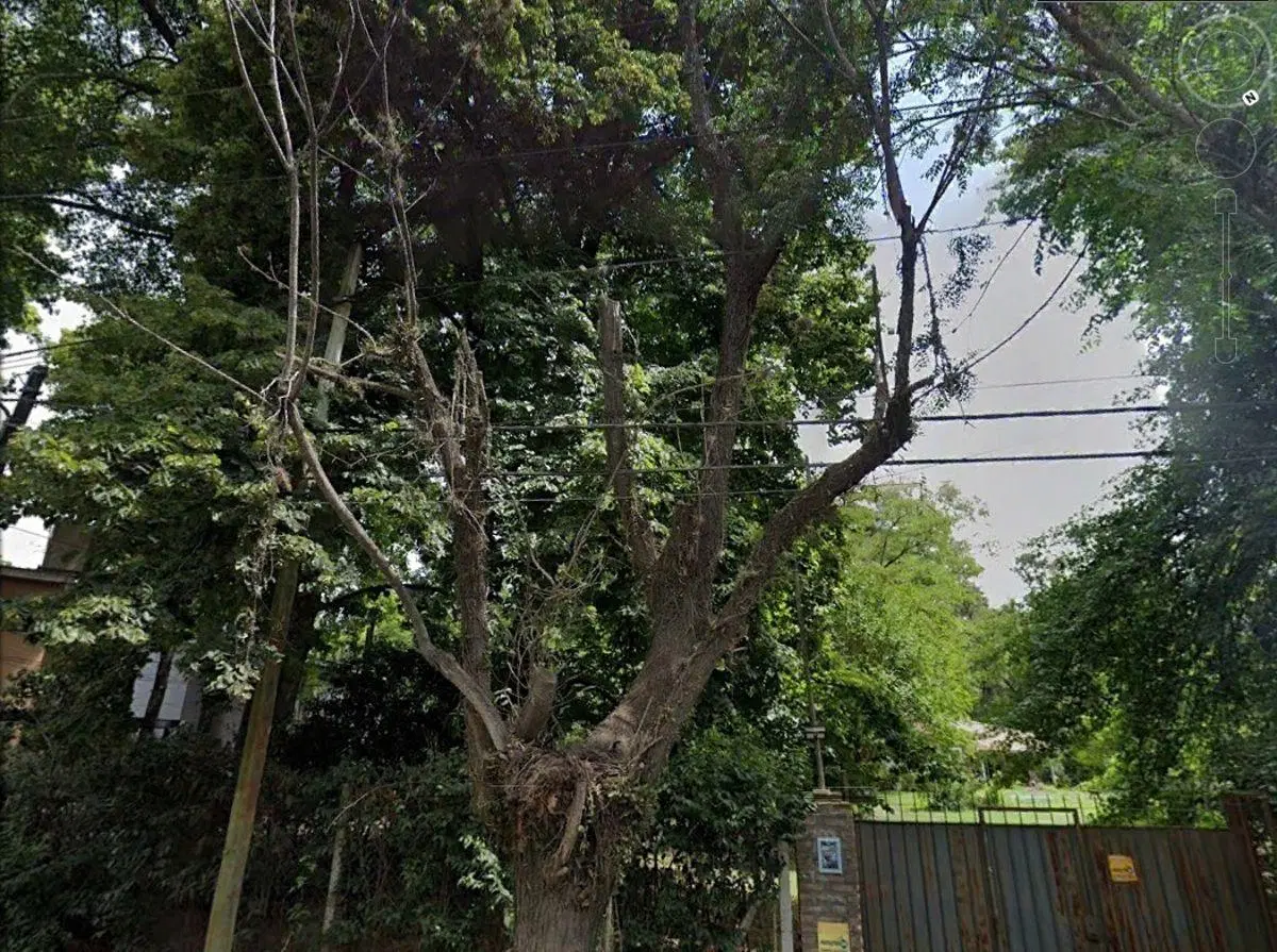 Lote en venta, Villa Udaondo / Parque Leloir, forestado . 1