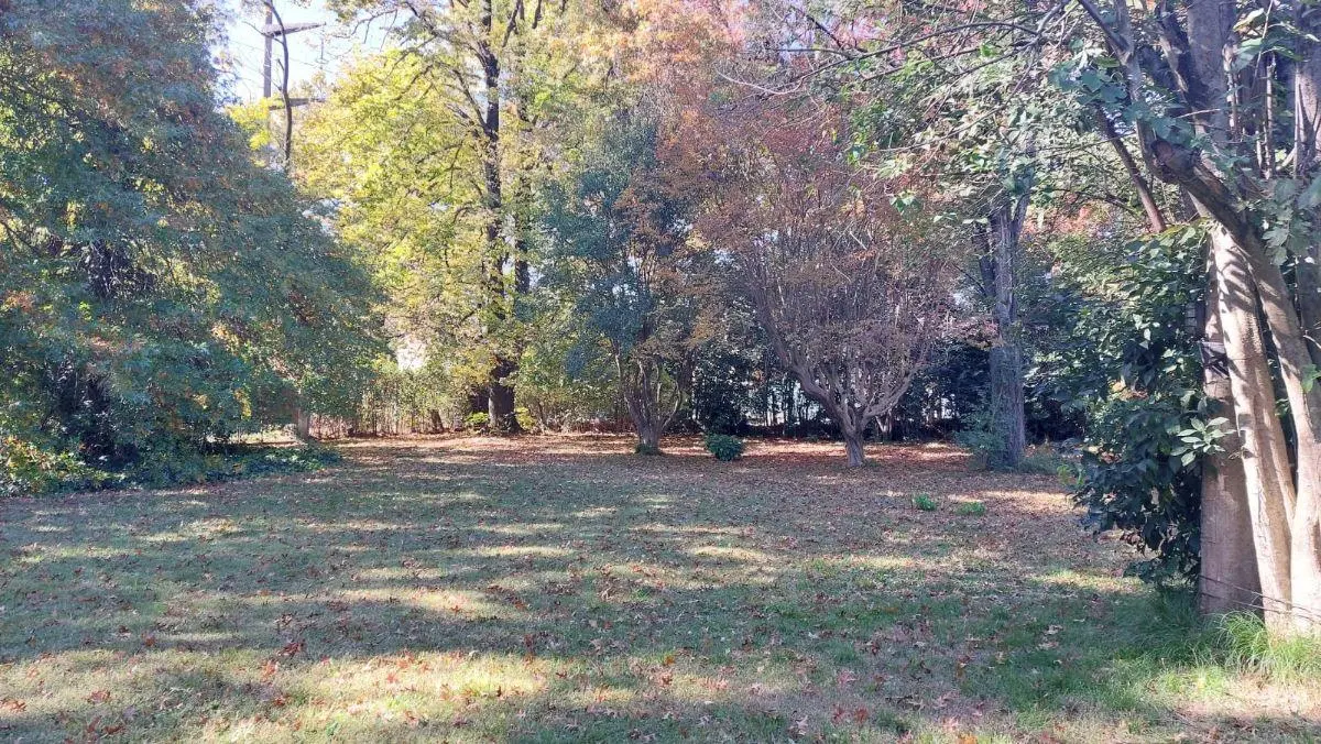 Lote en venta, Villa Udaondo / Parque Leloir, forestado . 4