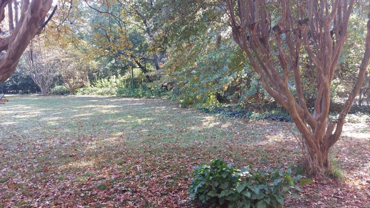 Lote en venta, Villa Udaondo / Parque Leloir, forestado . 3