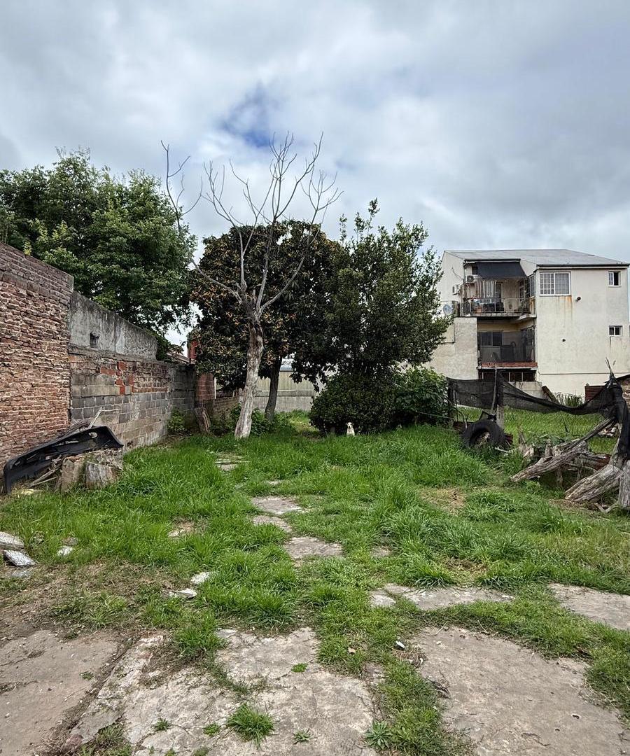 Foto de Casa 3 ambientes en Lomas de Zamora con gran patio/fondo libre, imagen 4