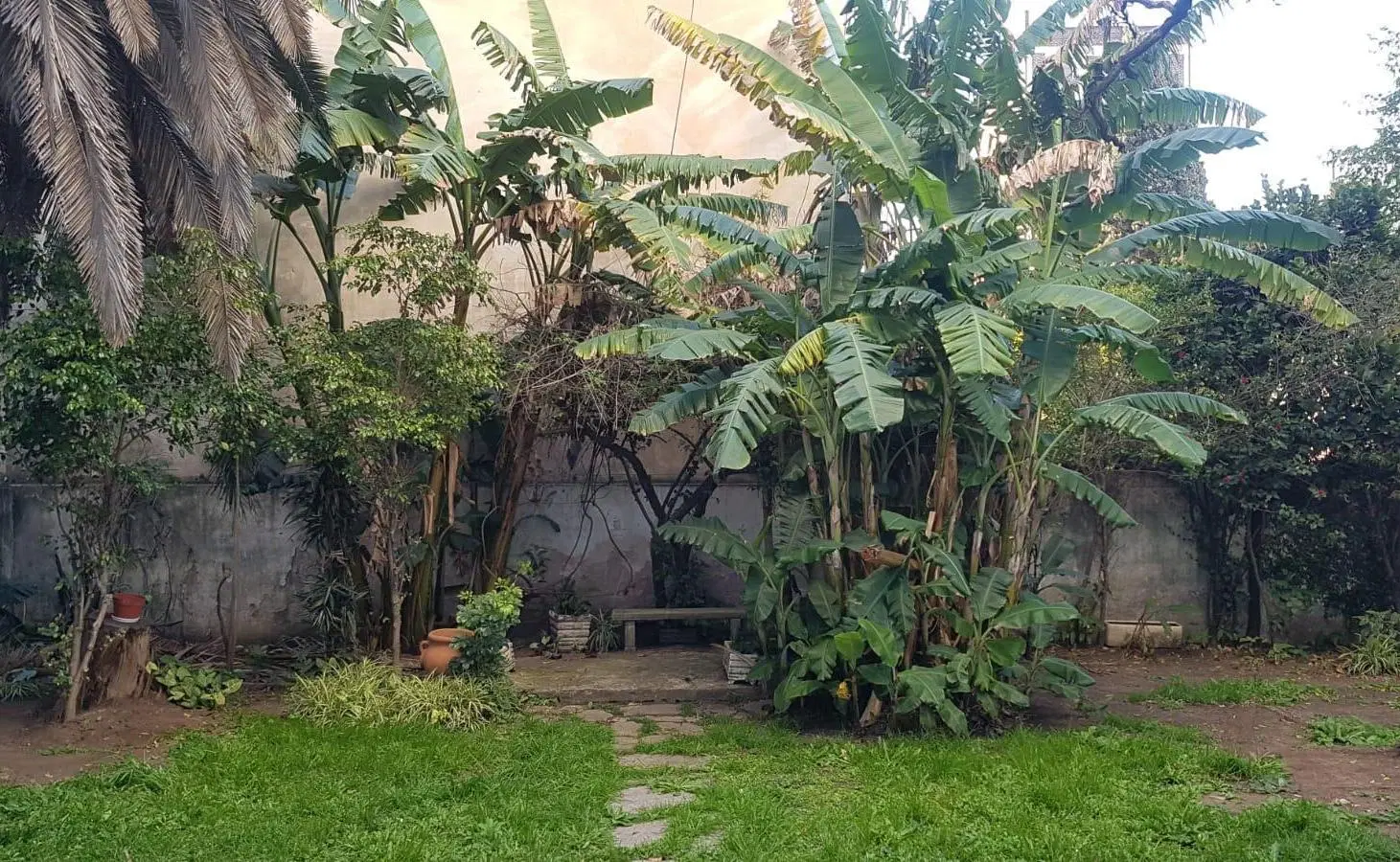 Departamento 3 Ambientes Con Dependencia Al Frente • Muy Luminoso • Flores 4