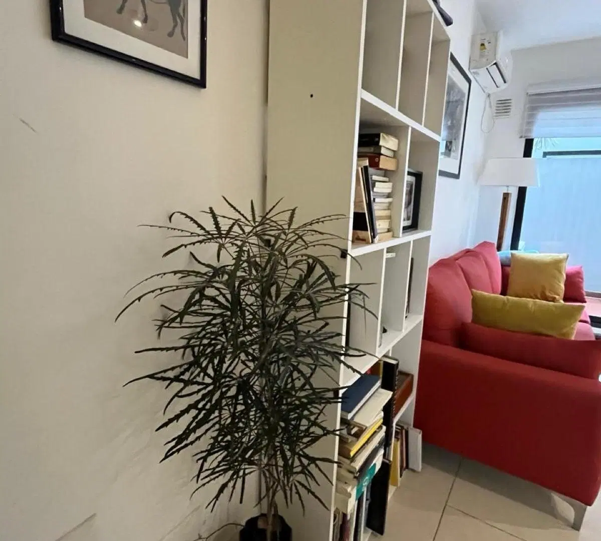 Departamento en duplex, 3 amb, patio, Saavedra 5