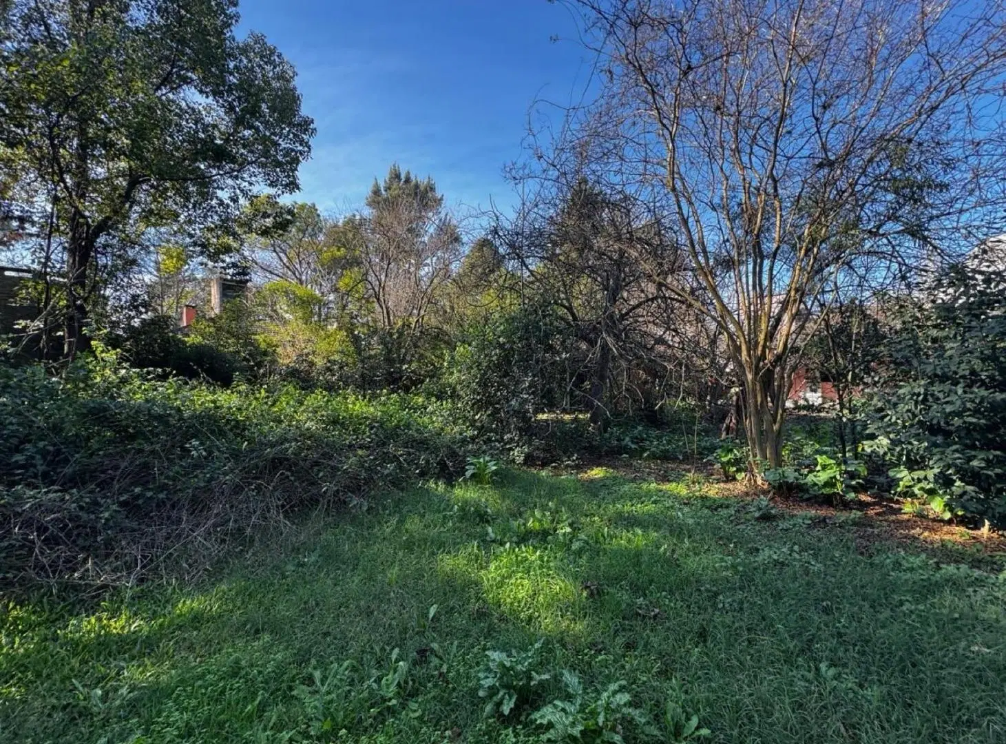 Terreno en Coronel Brandsen 4