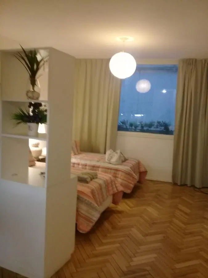 Departamento - Barrio Norte 1 ambiente impecable Rodriguez Peña y Arenales 4
