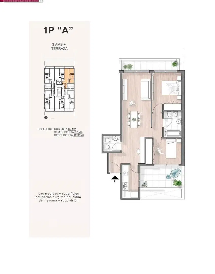 Plano 6