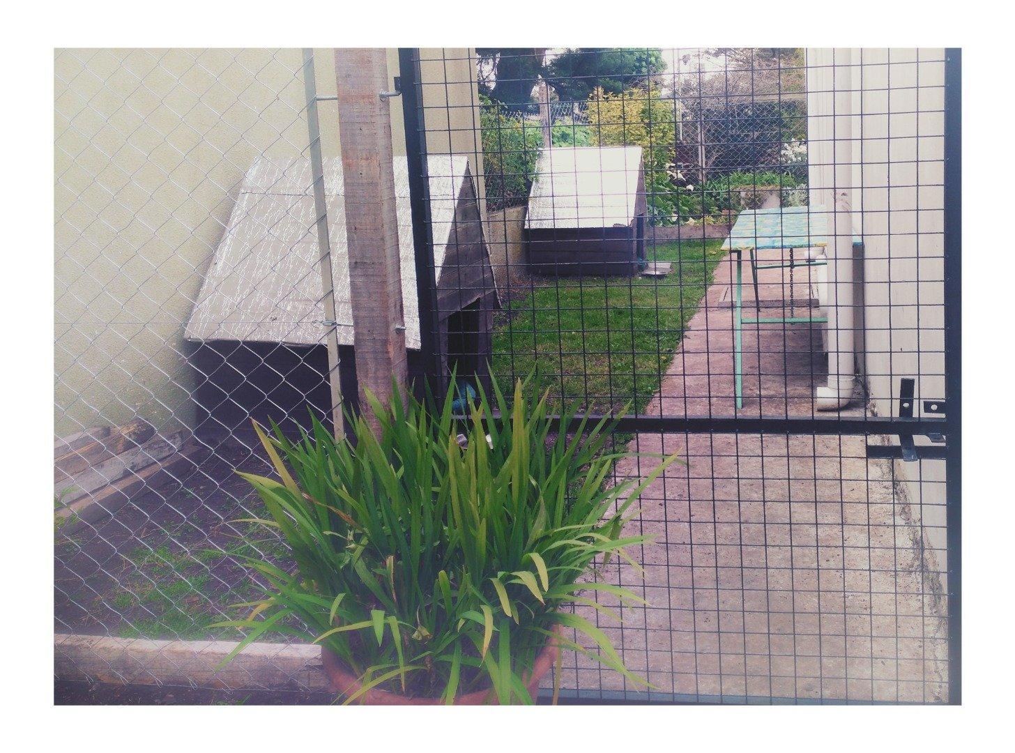 Foto de Casa en Acantilados Sobre Dos Terrenos, imagen 4