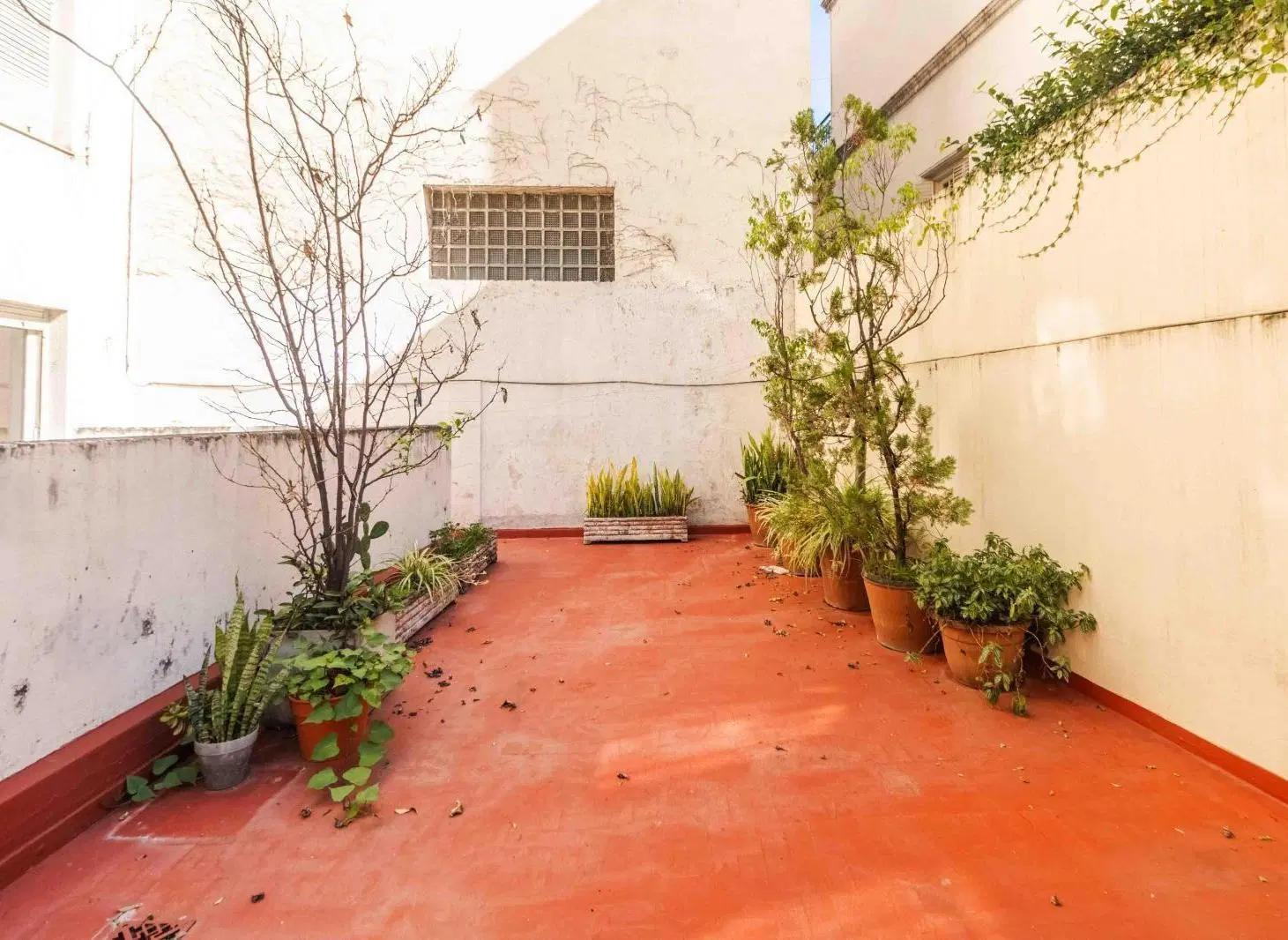 Venta departamento con terraza propia y excelente ubicacion en Barrio Norte 5