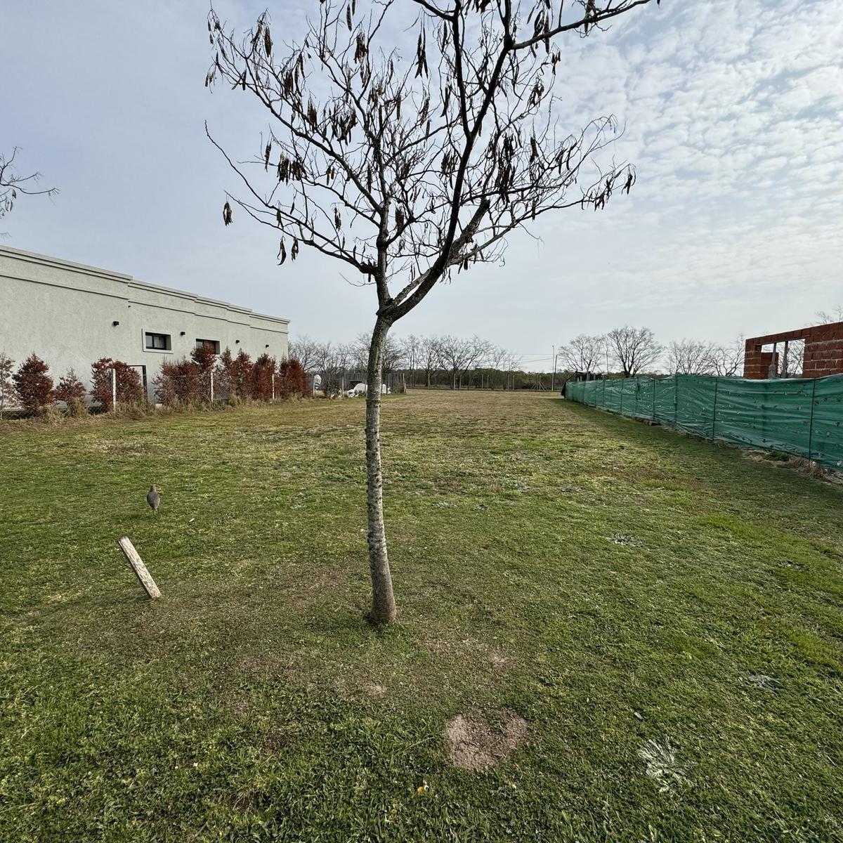 Lote en Santa Elena de 565 m2