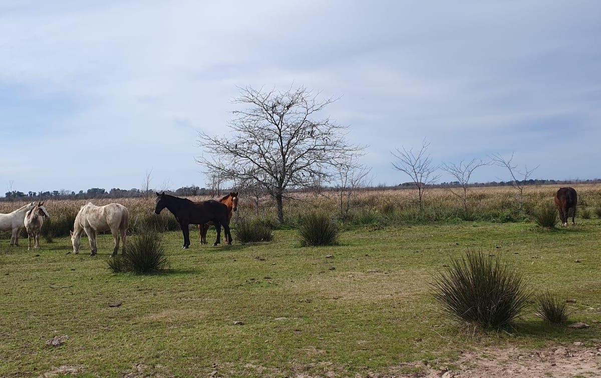 Terreno en Bahias del Parana - Los Ceibos