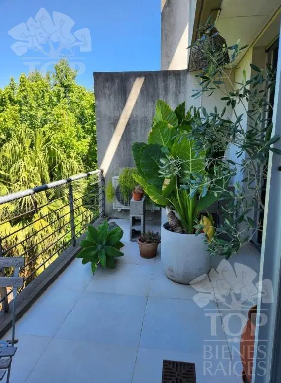 Hermoso Departamento en alquiler en Tigre 4
