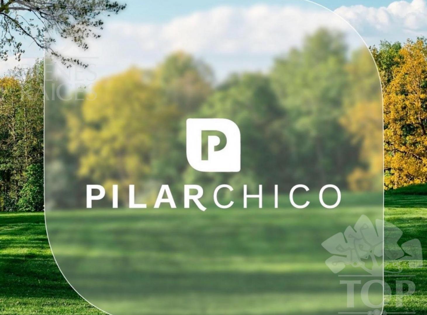 Foto de Terreno en Pilar Chico, imagen 5
