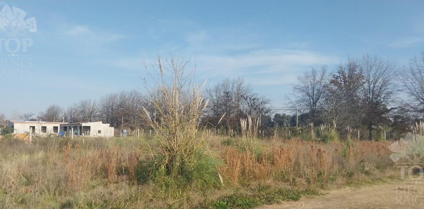 Foto de Barrio El Ocho - Pilar, imagen 1