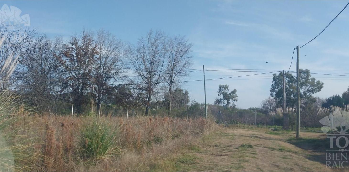 Foto de Barrio El Ocho - Pilar, imagen 3
