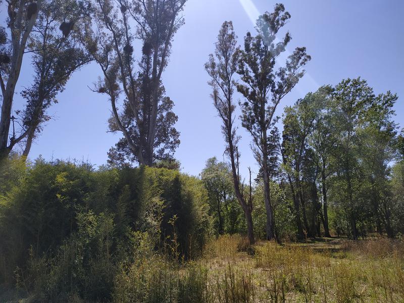 Loteo en Anisacate - 5000 m² - Escritura - " Chacras de Anisacate" 4