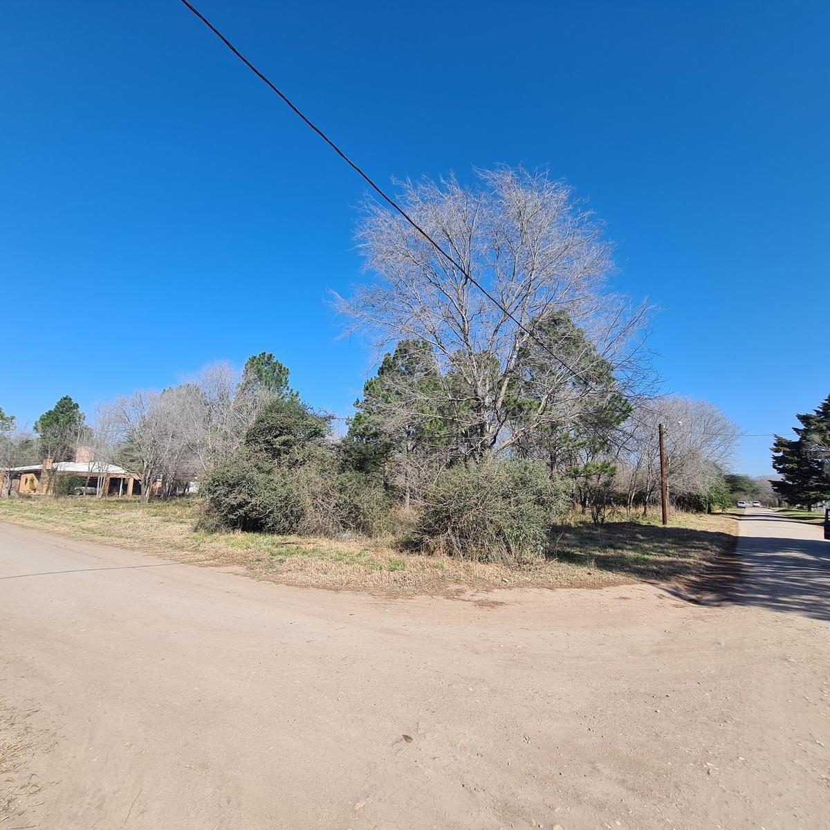 Lote de 1250 Anisacate - Villa Monetenegro 5