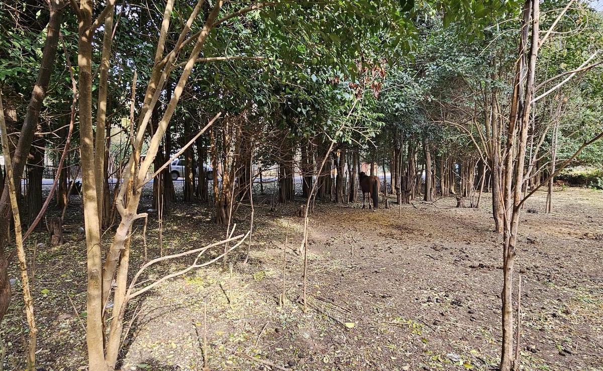 Terrenos en Venta Villa Ciudad Parque 2
