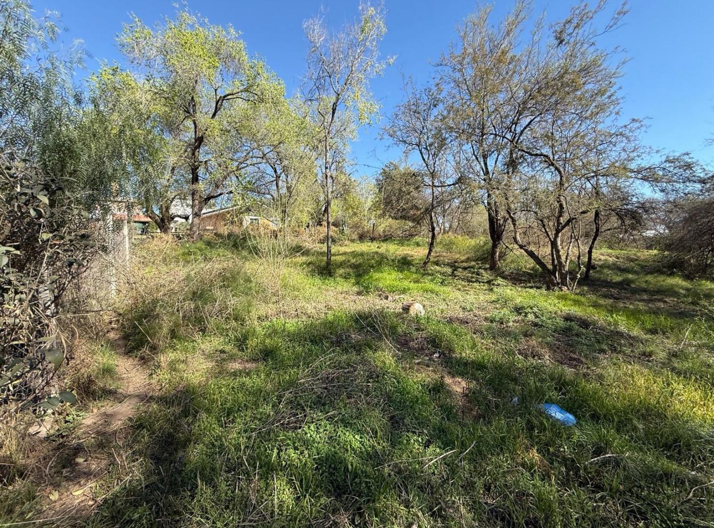 Foto de 2 Lotes Colindantes | Los Aromos | 3 Cuadras del Rio, imagen 5