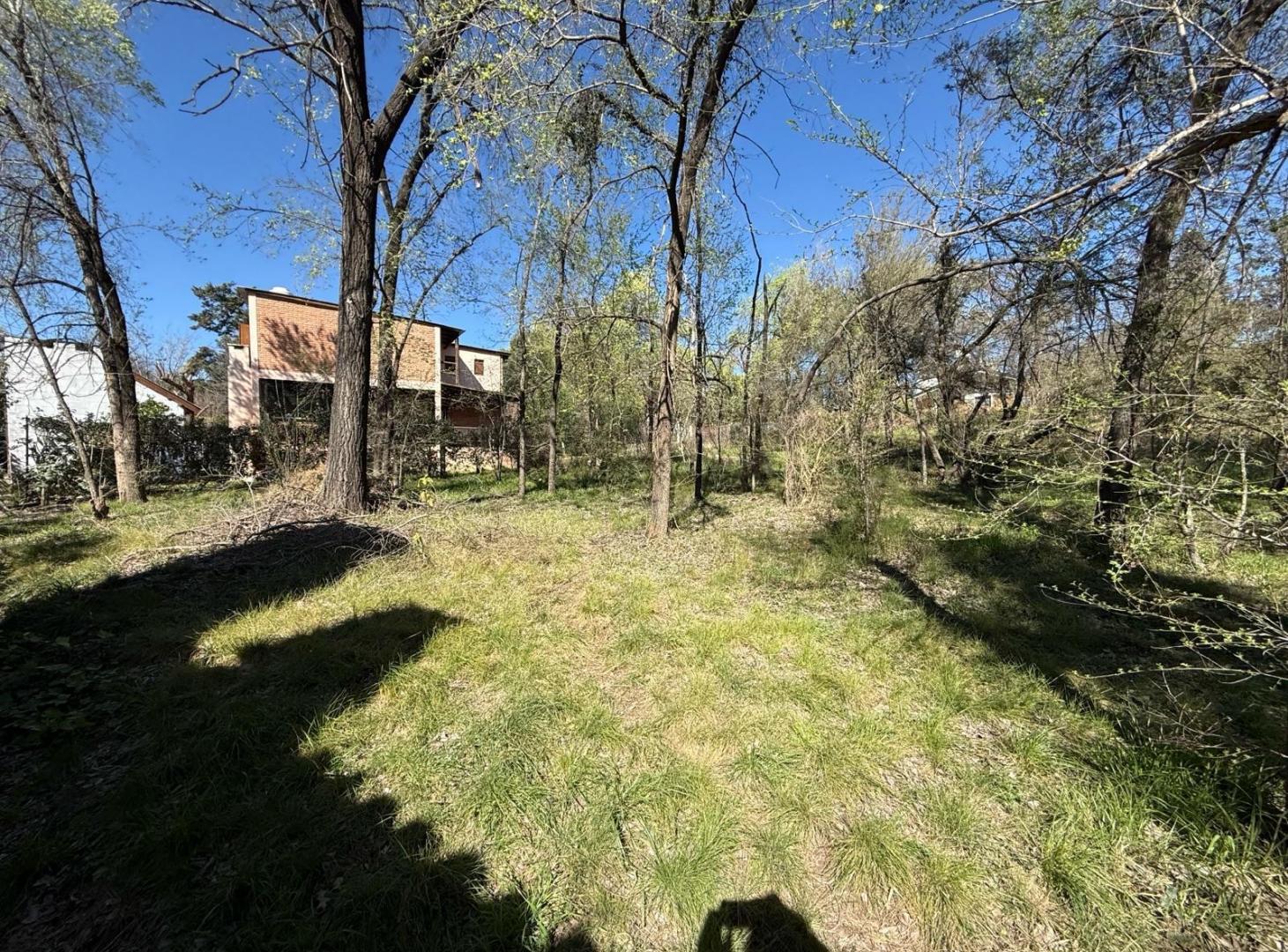 Foto de 2 Lotes Colindantes | Los Aromos | 3 Cuadras del Rio, imagen 3