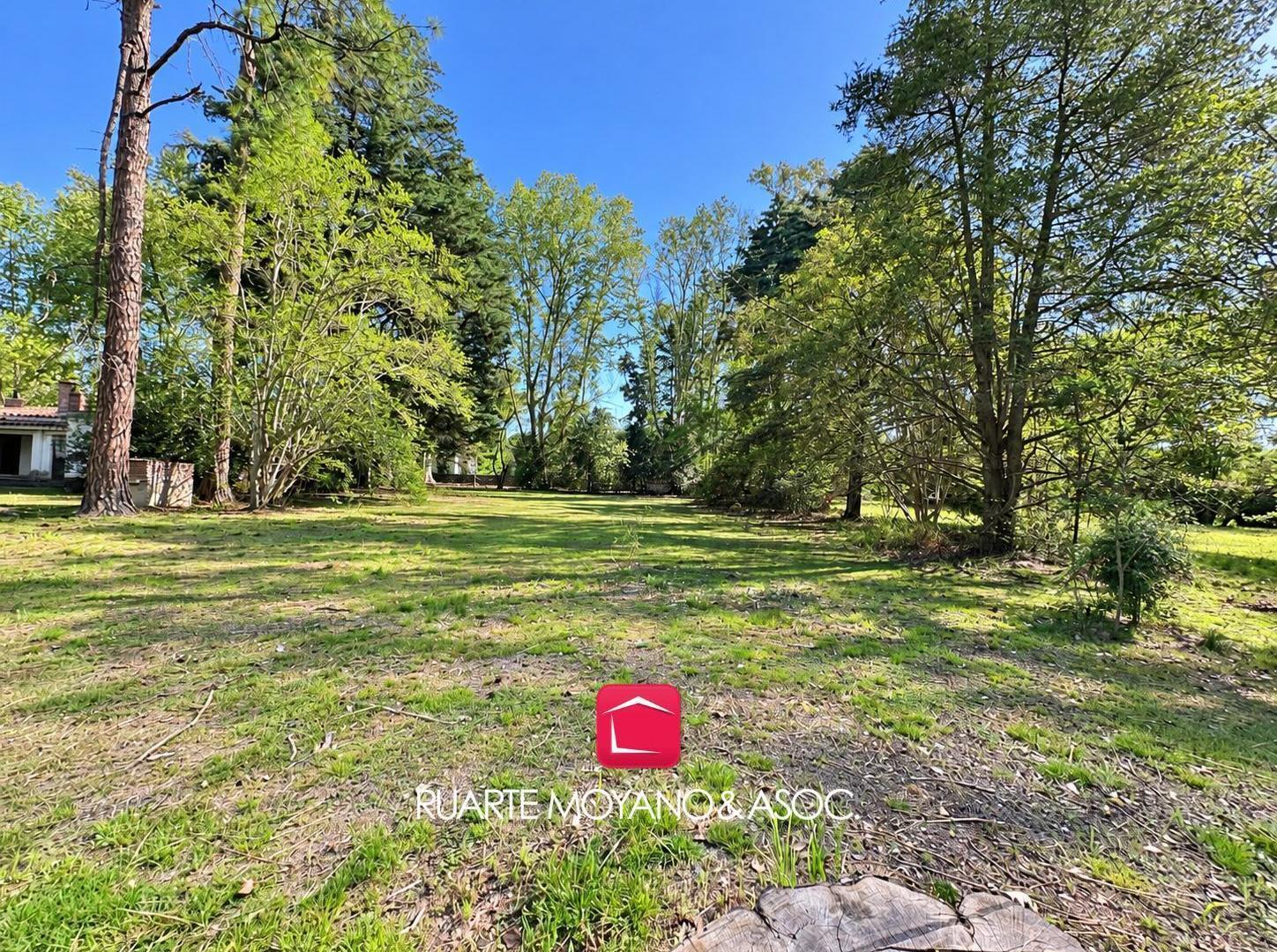 Foto de VENTA - LOTE - OPORTUNIDAD - 2000 M2, imagen 1