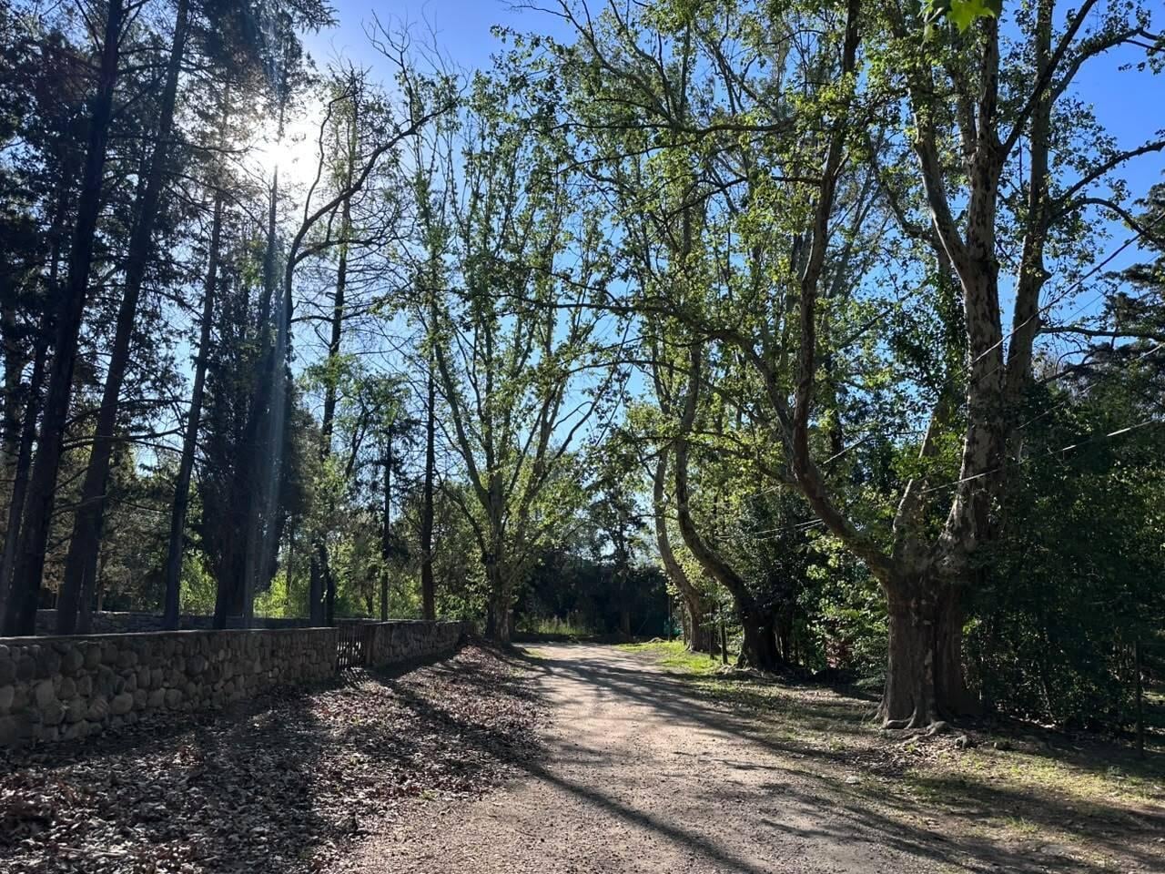 Foto de VENTA - LOTE - OPORTUNIDAD - 2000 M2, imagen 3