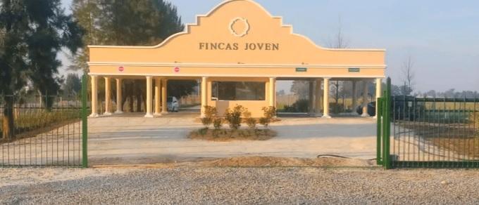Lote en Fincas Joven - Lote de 786m2 -