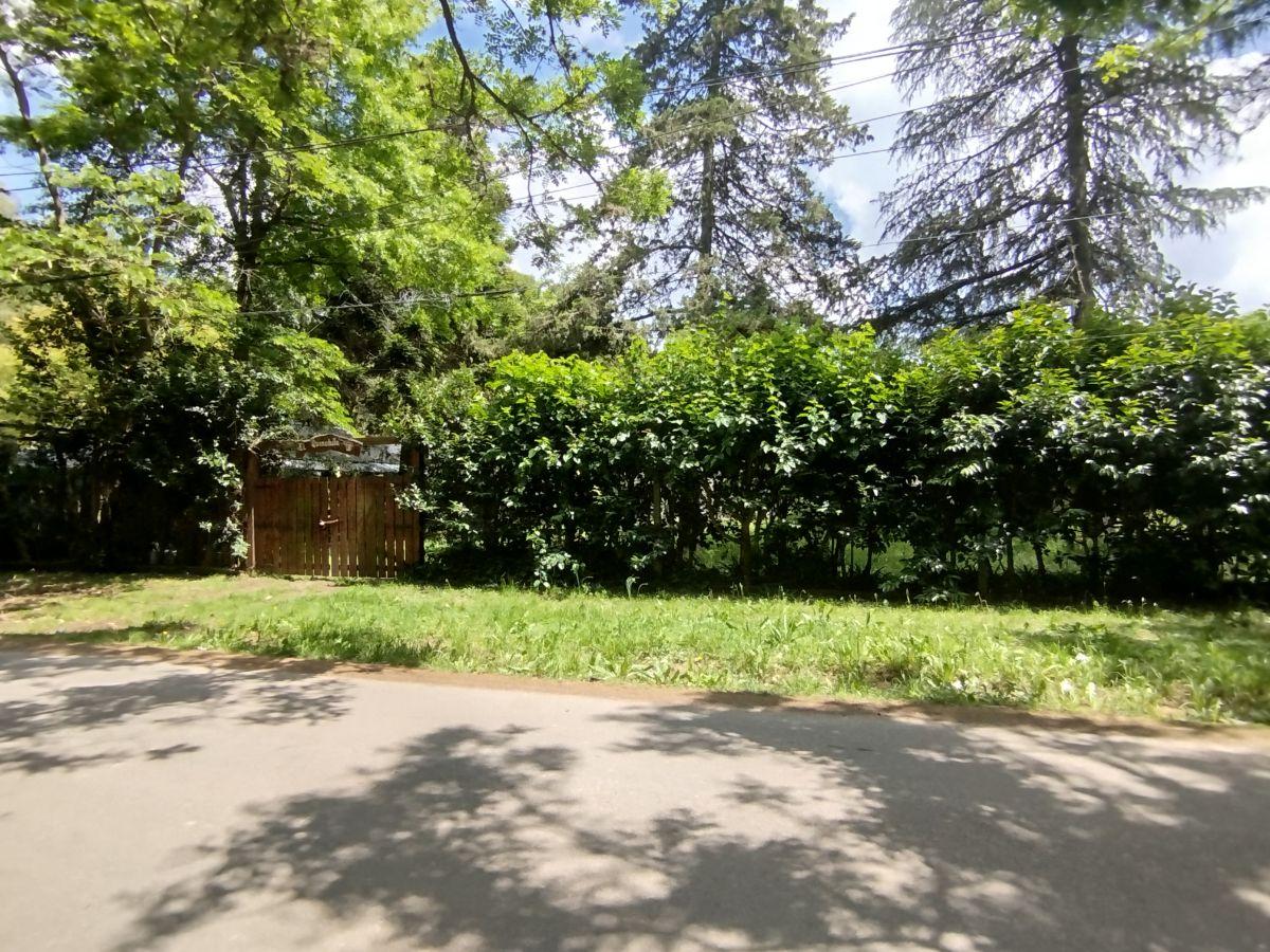 Foto de Lote - Venta - Canning, imagen 4