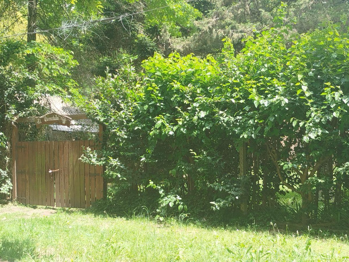Foto de Lote - Venta - Canning, imagen 3