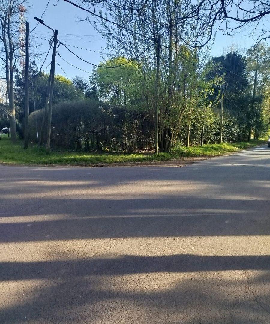 Foto de Lote - Venta - Canning, imagen 2