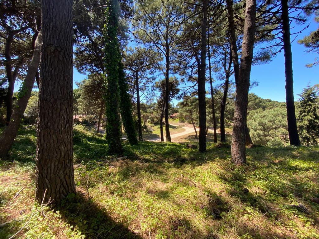 2 lotes unificados en VENTA zona sur sobre calles Odiseo y Ninfas- Pinamar