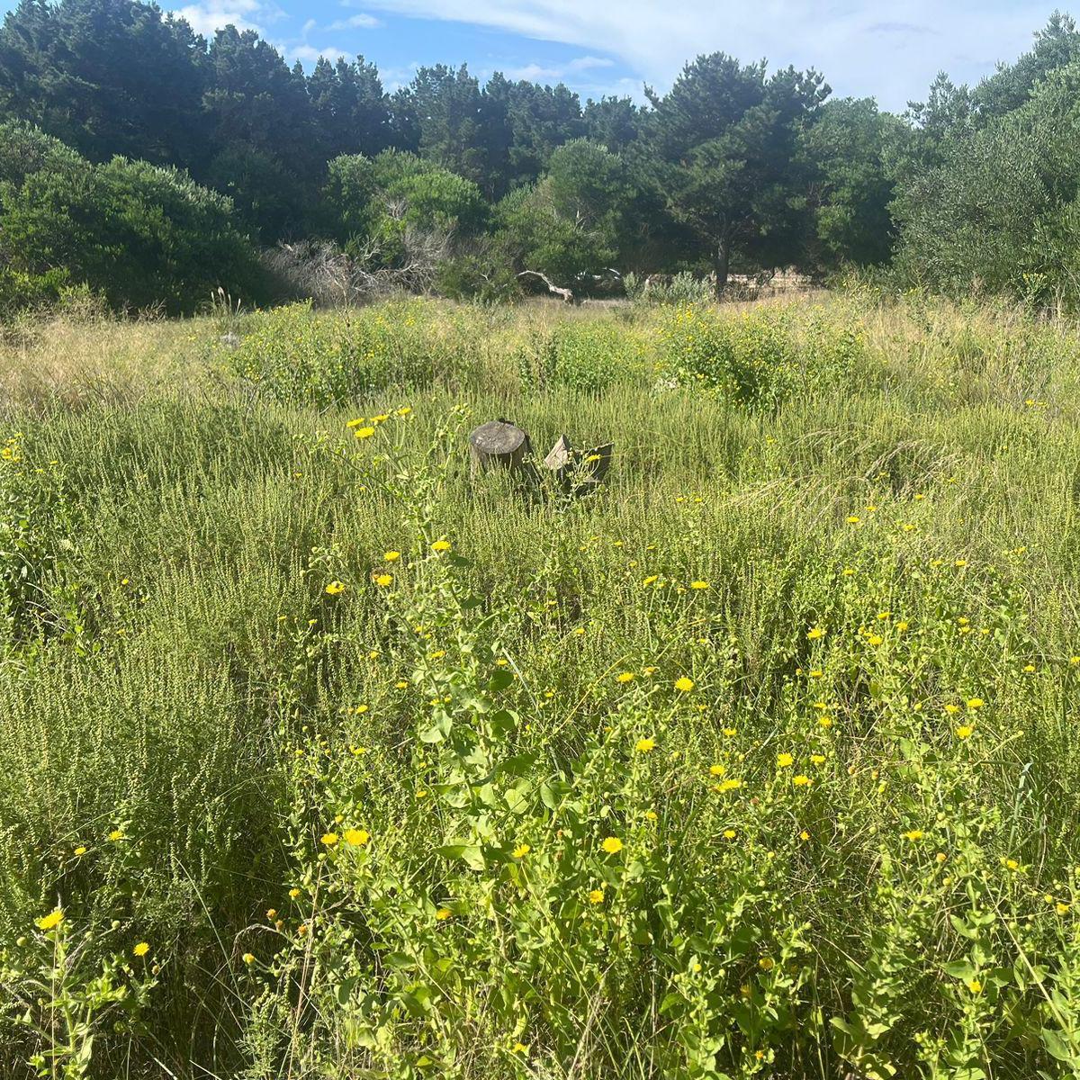 Terreno en Costa Esmeralda 274 5