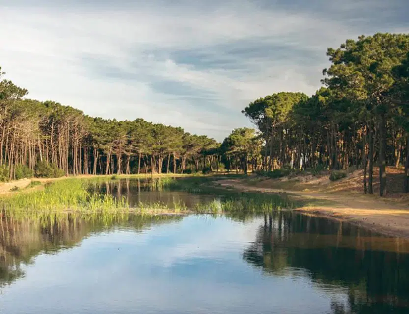 terreno en villa robles 2