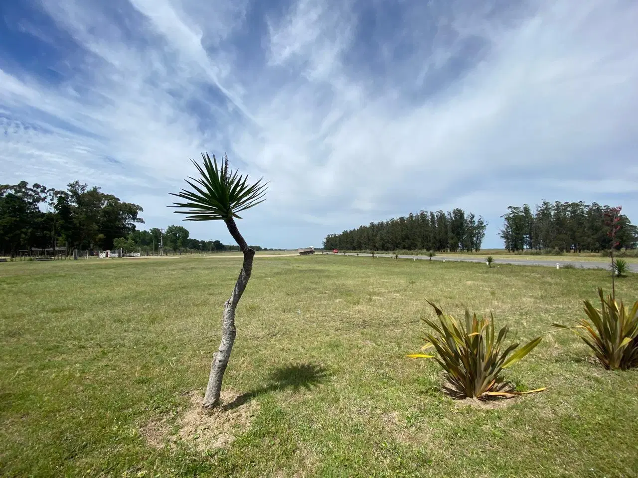 terreno en villa robles 3