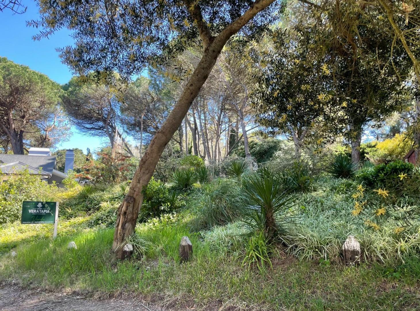 Foto de Terreno en Zona Norte Playa- Pinamar, imagen 4